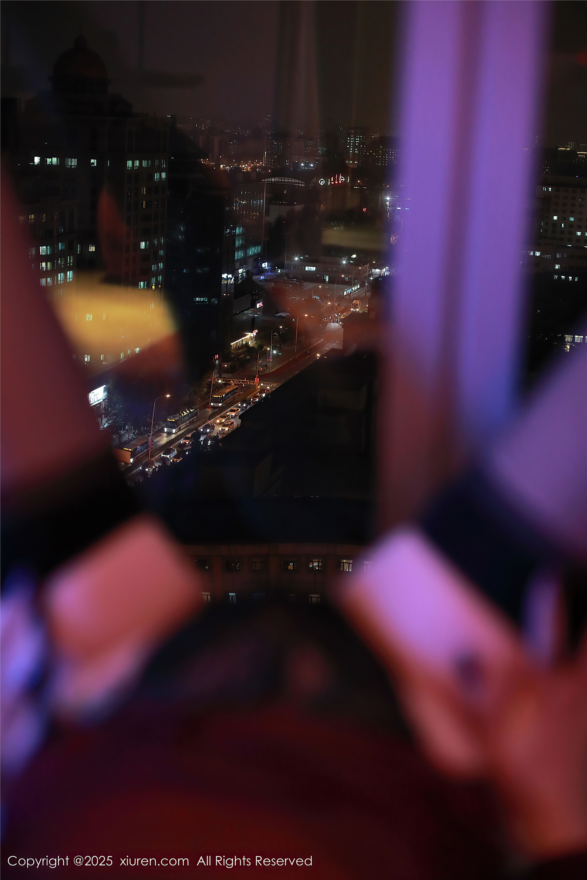 Xiuren秀人网 2025.03.06 NO.9973 田冰冰